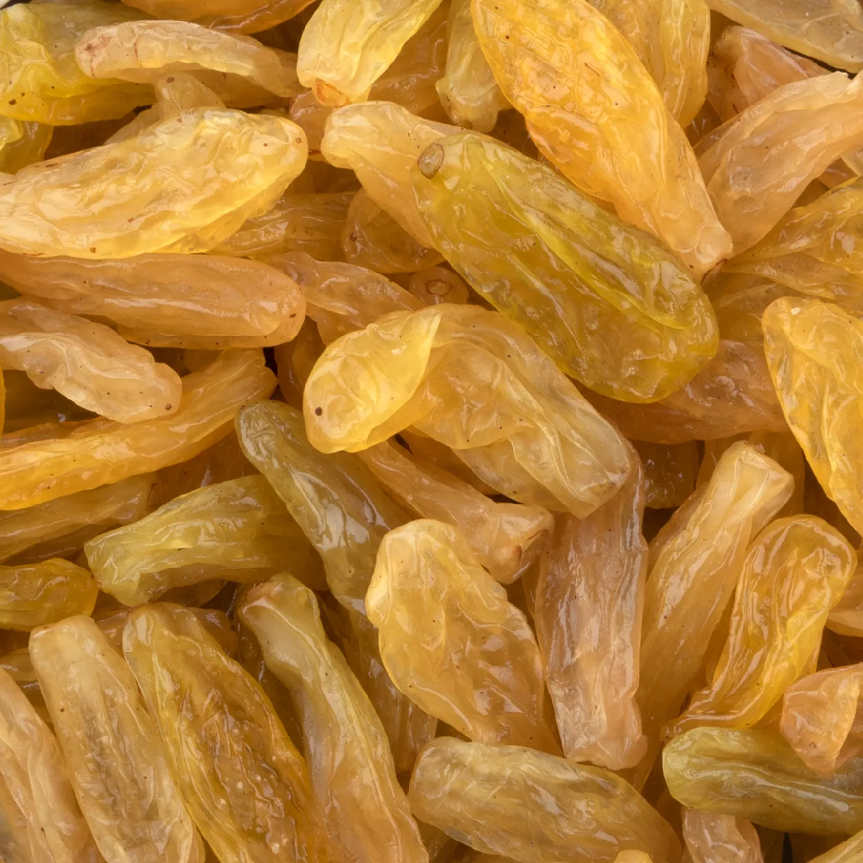 Nasik, Sangli, Maharashtra